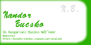 nandor bucsko business card